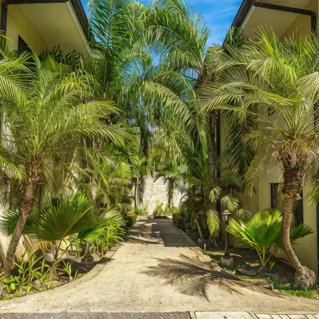 Walk to Everything! 2Br Villa at Playa Penca! Pool, Parking + Massages on us!