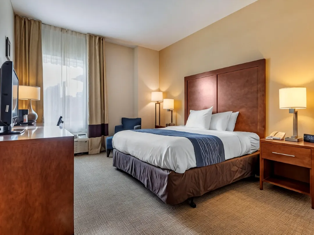 Comfort Inn Apalachin Binghamton W Route 17 - New York (staat)