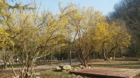 Gurye Jirisan Bannaegol Auto Camping Site