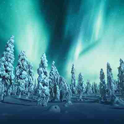 Santa's Holiday Homes Others