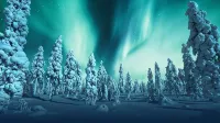 Santa's Holiday Homes - Apartments