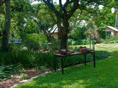 Wild Olive Cottage for 2 People in Wonderful Garden!