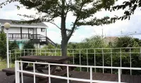 Sharon's House - Condos