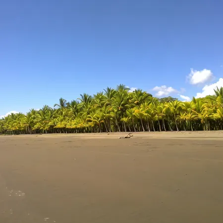 Slice Of Paradise Beach Bungalow, sleeps 2 - 5, full kitchen, 2 baths, AC, &more