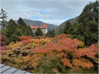 箱根小涌谷温泉 水の音 - カップル