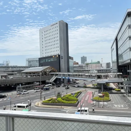 Toyoko no Yoko 301