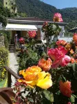 Villa lardarina - Wifi