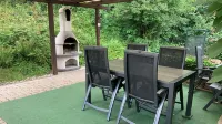 Forest view in the Lerbachtal / Harz - Homestays
