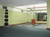 Apartahotel Vincent Suites - Gym