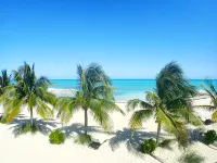 海之家-海灘-海濱-陽光-細沙-清澈巴哈馬海水-度假屋 - 4 星級