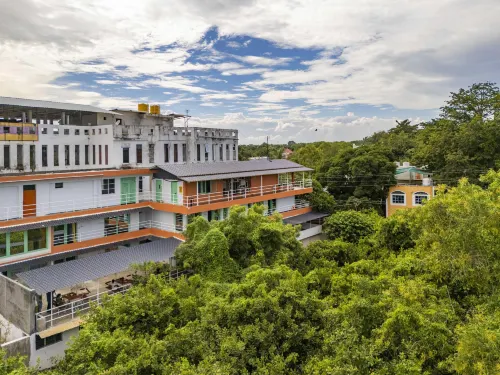 Zostel Pondicherry, Auroville Road - Hostels