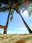 Seashore Inn Hotels in San Juan