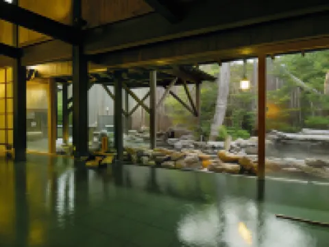 Setsugetsuka Hotels in Hakone