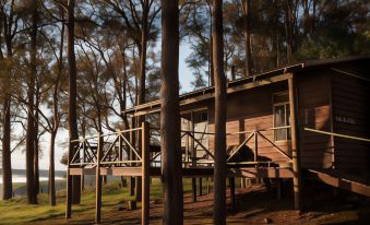 a wooden cabin surrounded by trees , with the sun setting in the background and the sun casting shadows on the ground at Balingup Heights Hilltop Forest Cottages