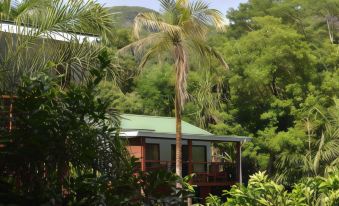 Cashew Nut Grove Chalets