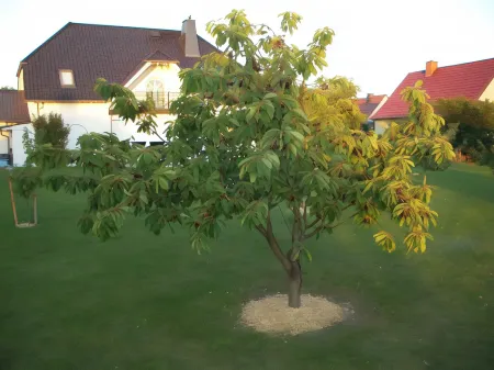 Room in Apartment - Haus Im Grünen / House in the Green