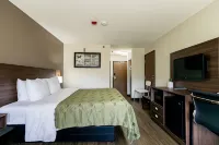 Quality Inn Hotels in Carrollton