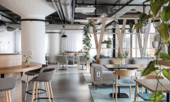 2. 놀리 스투디오스..