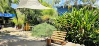 Don Jon's Surf and Yoga Lodge