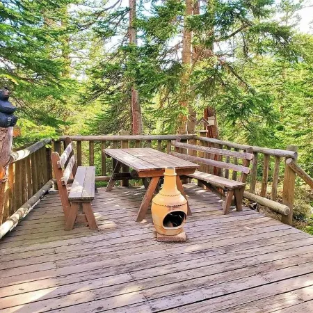 3 BR Mountain Log Cabin at St. Mary's Glacier