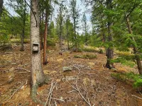 Tranquil Retreat: Your Perfect Family Getaway w/Infared Sauna