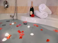 Hotel Majestic Hotels in Opera