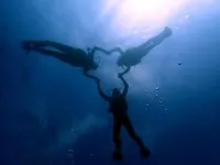SeaXplore Lodge & Dive Center