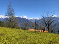 OM the Divine Soul of Devbhumi Hotels in Rudraprayag