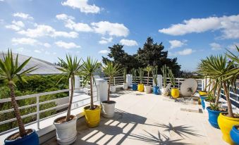 Panoramic View Enjoy a Jacuzzi in Sidi Bou Said