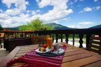 Hotel Rozmarin Hotels in Rasnov