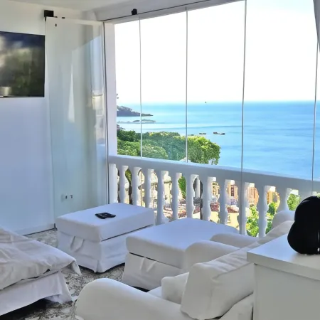 Stunning seaview apartment 2 terraces & parking
