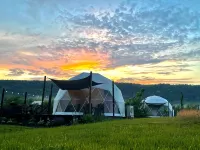 Port Wade Glamping Domes