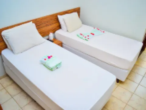 維克多酒店 帕圖斯-迪米納斯酒店