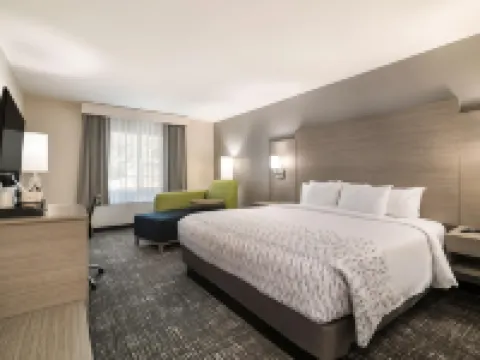 Best Western Plymouth Inn-White Mountains Hotels in Campton