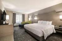 Best Western Plymouth Inn-White Mountains Hotels in Campton