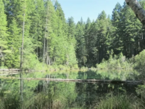 Motel 6 Hattiesburg, MS Hotels in Forrest County