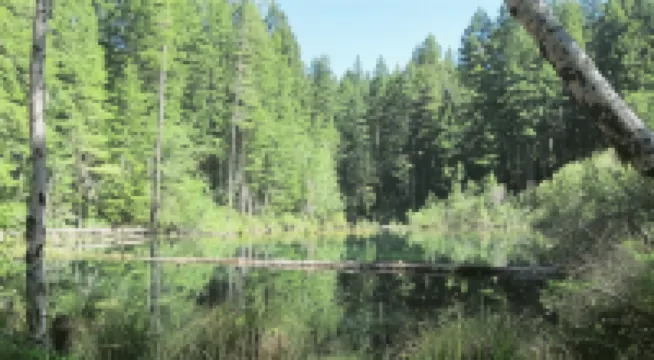 Motel 6 Hattiesburg, MS