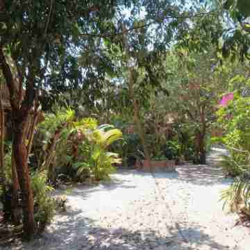 Sunny Bungalow Hotel Exterior