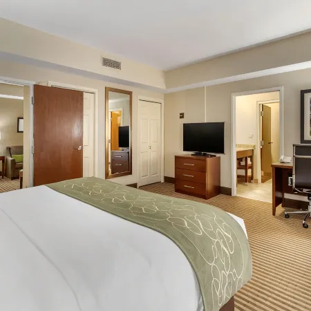 Comfort Suites Johnson City Near University