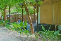 Mango Tree Island 420