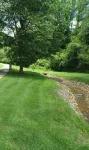 Welcome to Little Creek Ranch - A cozy cottage in charming Franklin - Country Houses