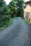 Lush Oasis in Port of Spain with Private Pool - 수영장