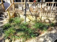 2 Bedroom 2 Bath Quarry Lake Getaway Hotels in Hernando