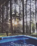 Naked Elk Lodge: 4 Bdrms, Hot Tub, Projector TV near Mt. Rainier