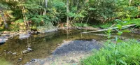 Unterwalden NEW HotTub Firepit SmartTVs Full Kitchen Mt Hideaway Trout Stream - 3-Star