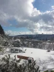 Panoramablick  Apartment, Exceptional  View on Freudenstadt and Black Forest - 4-Star