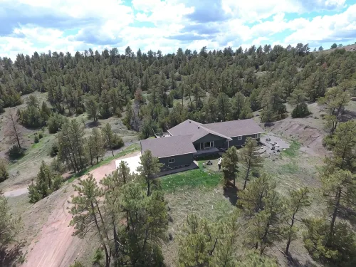 Pine Hills Resort and Horse Stables - Homestays