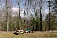 "Stars Hollow" Cozy Mini Cabin Stay - RRG