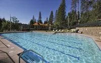 Black Bear Den ~ Access to Private Lake! Heat and AC