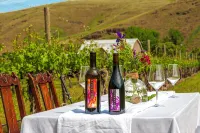 Moonrise Suite in a Vineyard + Winery! - 4 tähden